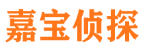 西丰市侦探公司